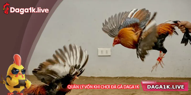 Quản lý vốn thông minh để chơi lâu dài